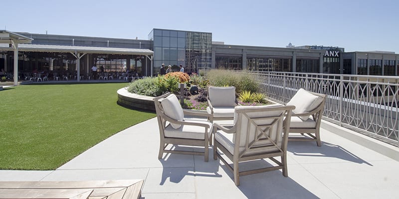 SPANX Corporate Headquarters Landscape Rooftop with ForeverLawn