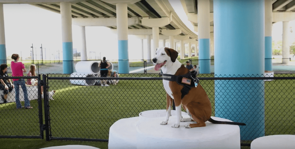 Deputy Kotfila Memorial Dog Park