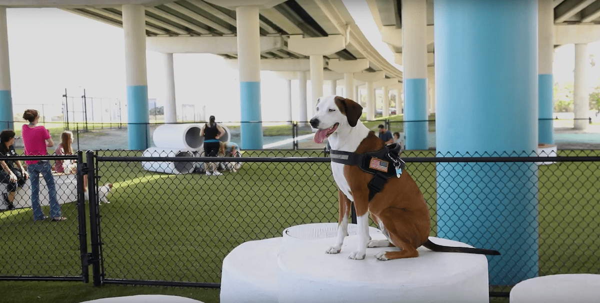 K9Grass installed at Deputy Kotfila Memorial Park