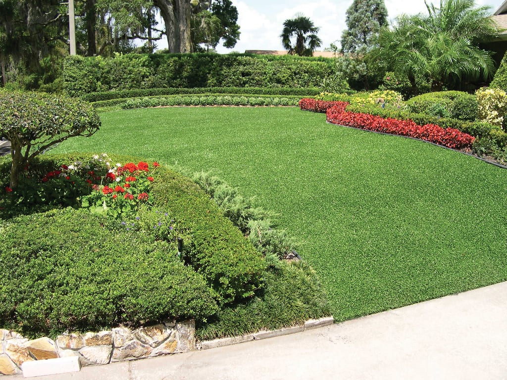 Synthetic Turf Becomes Latest Celebrity Trend