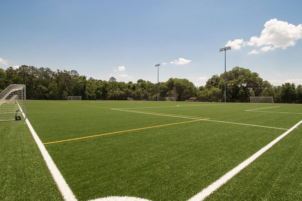 ForeverLawn Austin SportsGrass