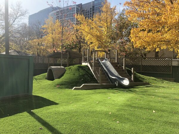 Playground Grass by ForeverLawn