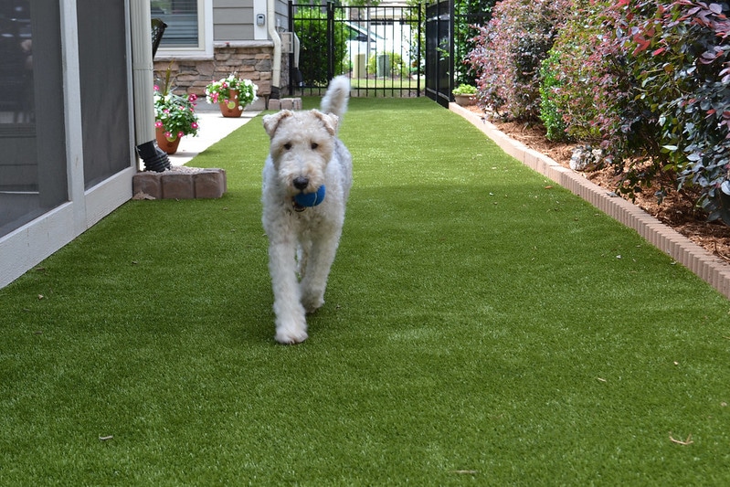 ForeverLawn Northeast Indiana Auburn Artificial Grass