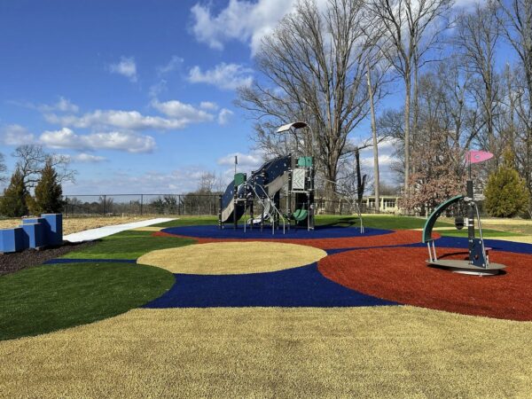 Playground Grass by ForeverLawn