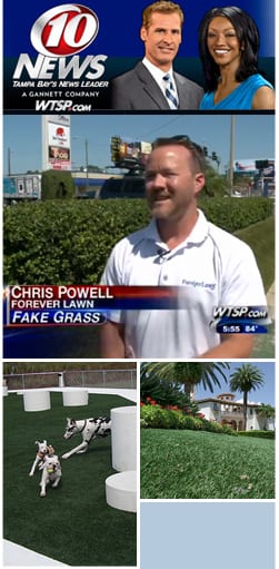 ForeverLawn Tampa Bay featured on 10 News