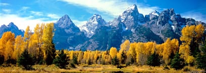 ForeverLawn Supports Project Grand Teton Recycling Program