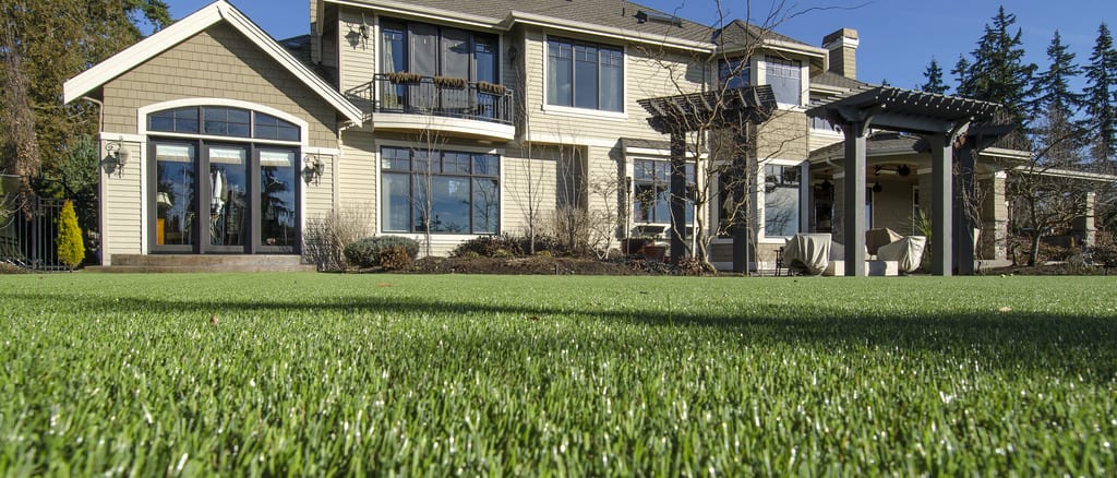 Reasons to Choose Artificial Grass