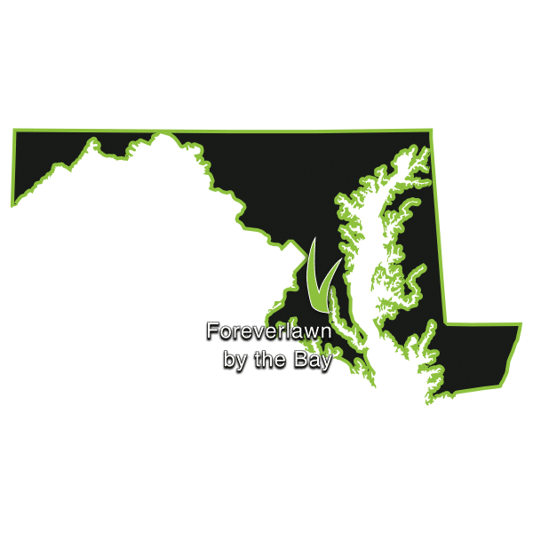 ForeverLawn by the Bay Map