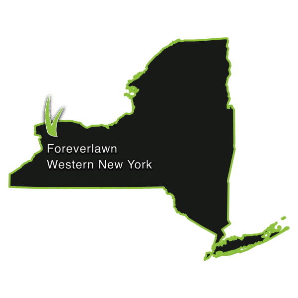 ForeverLawn Western New York Logo