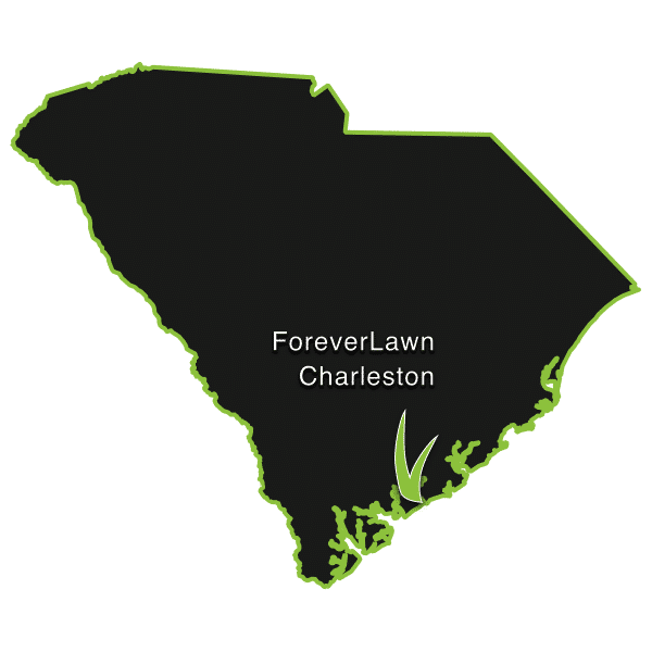 ForeverLawn Charleston Logo