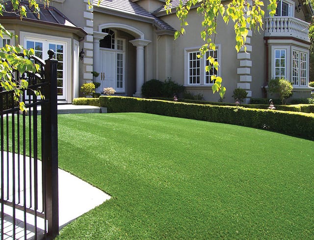 Is this lawn for real? ForeverLawn Artificial Turf