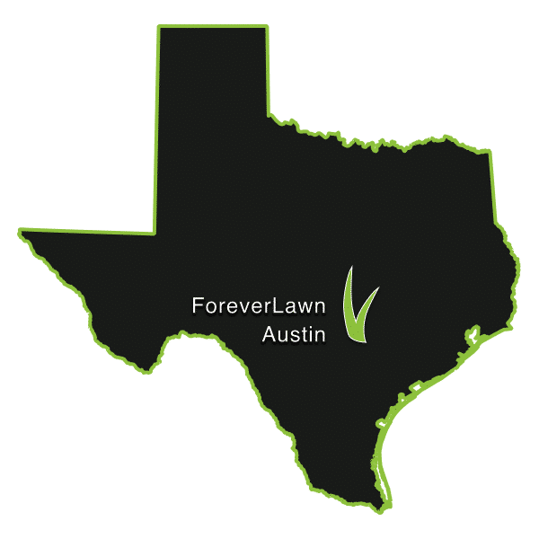 ForeverLawn Austin Logo