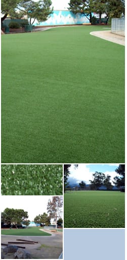 Innovative turf makes debut at Los Gatos Creek dog park