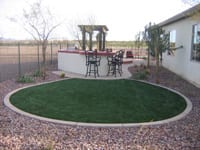 Artificial surface becoming more popular for pets